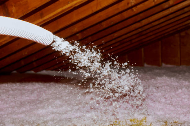 Best Cellulose Insulation in Thurmont, MD