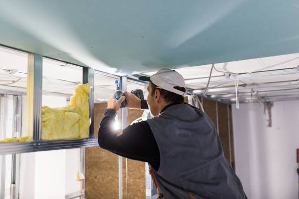 Best Eco-Friendly Insulation in Thurmont, MD